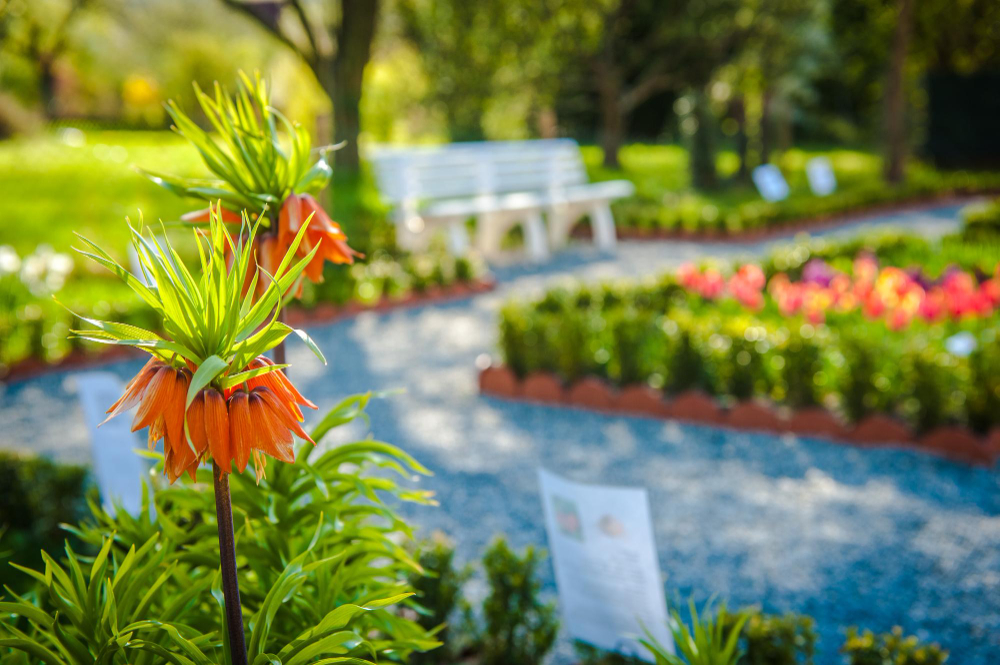 Servicios de jardinería en Cáceres